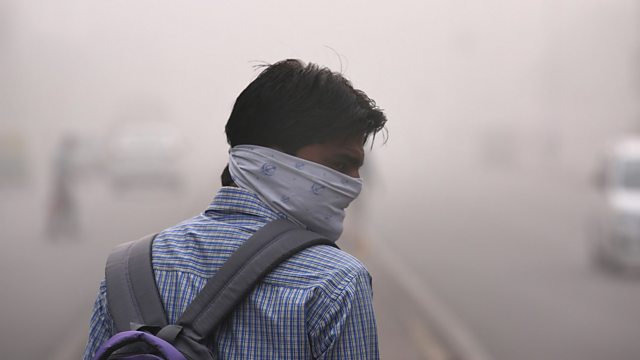 10 Tips Menghindari Polusi Udara yang Bisa Merusak Tenggorokan